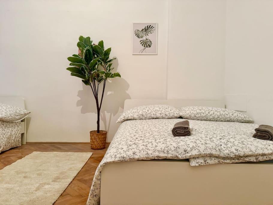 70 M2 Quiet & Calm With Free Parking Apartment *
