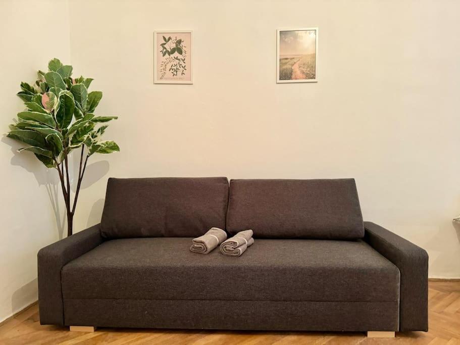 70 M2 Quiet & Calm With Free Parking * Wien