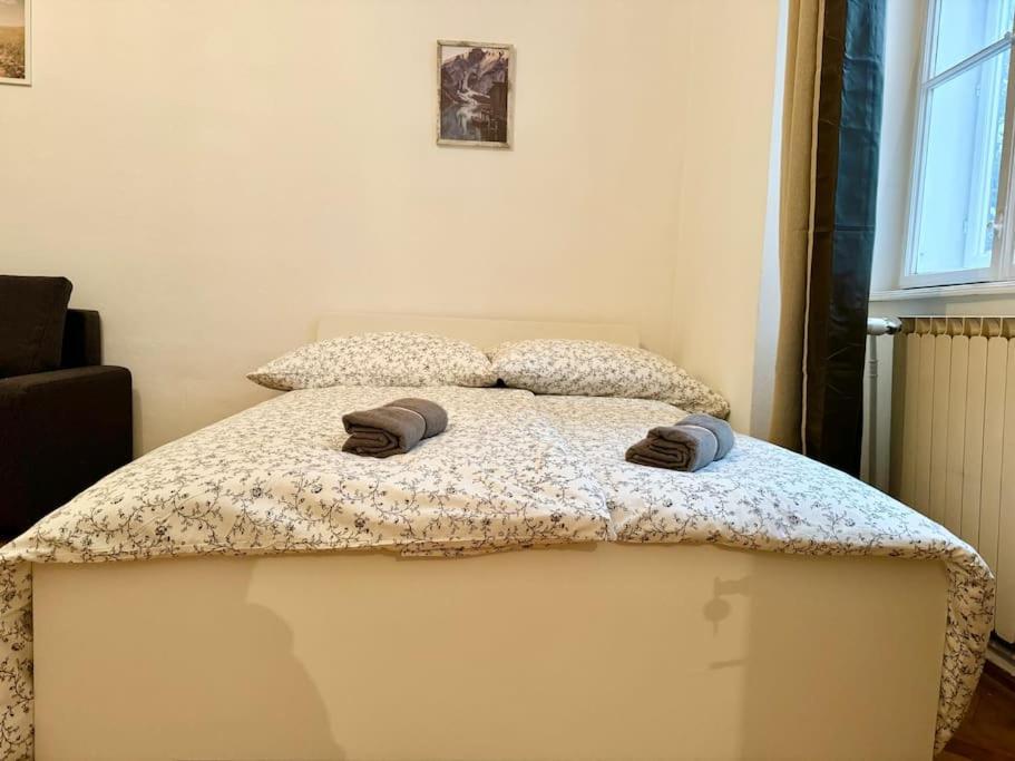 70 M2 Quiet & Calm With Free Parking Wien