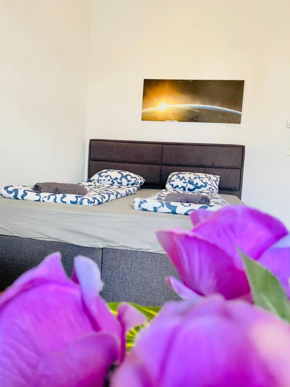 Cozy In Brigittenau Area Mm23 Homestay Vienna