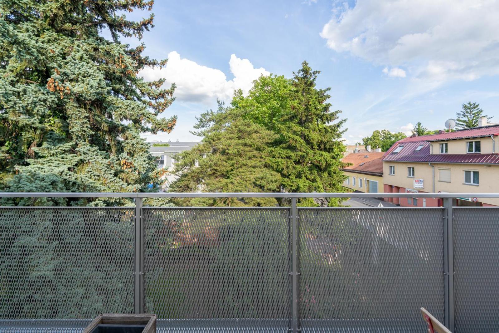 Exclusive 70 M2 With Balcony And Air Conditioning Vienna
