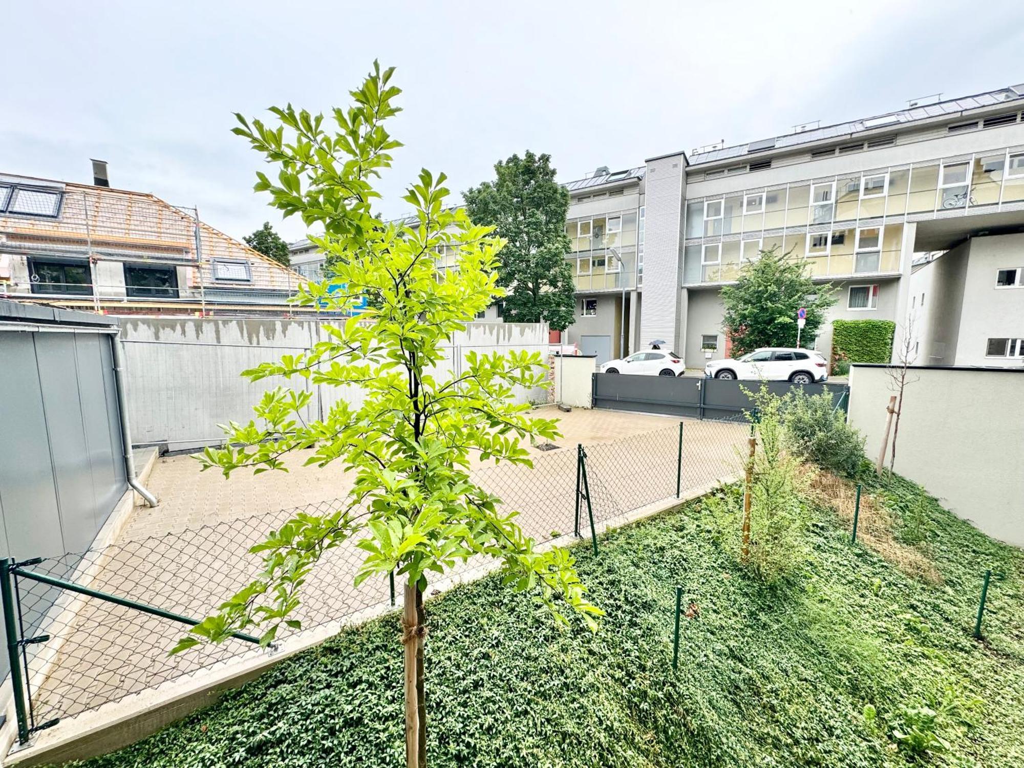 Mit Balkon Und Parkplatz Apartment *