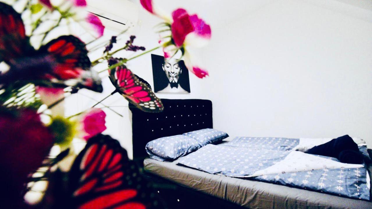 Hostel 6 Min To Amusement Park - Economy In Shared Wien