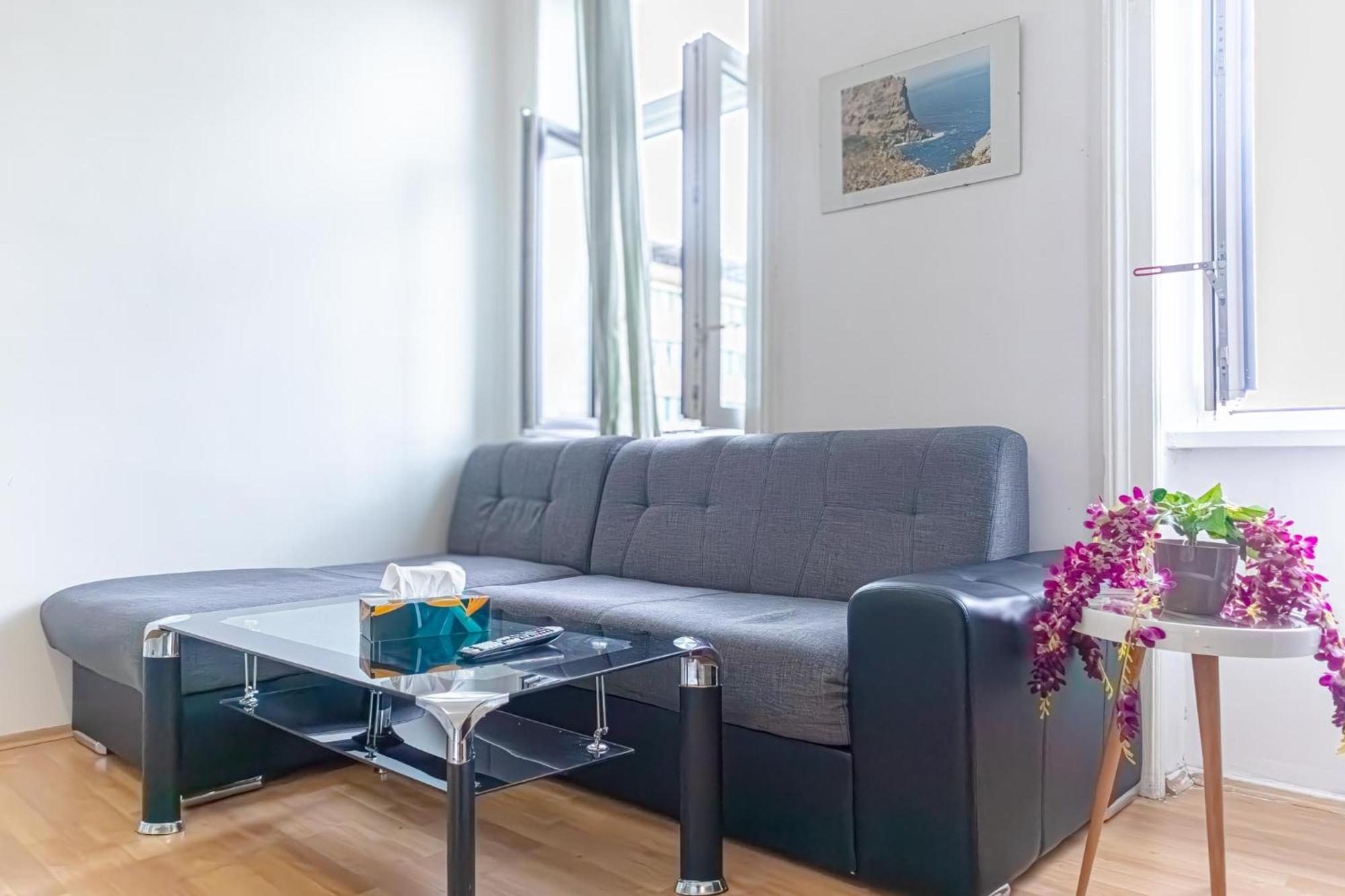 Apartment Homely Near Millenium Tower Vienna
