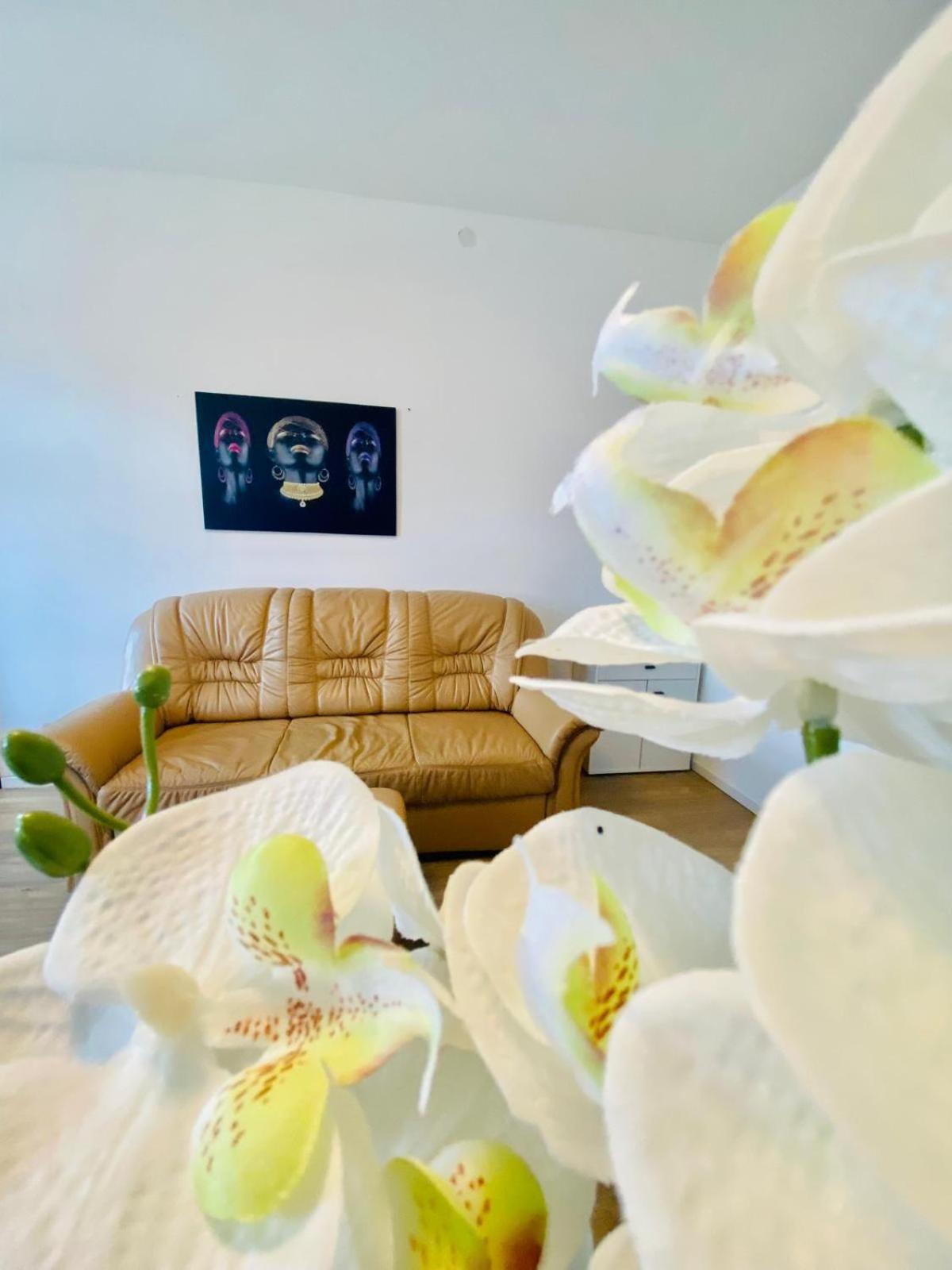Apartment Spacious 4br Up To 15 Guests 15 Min To Danube Vienna