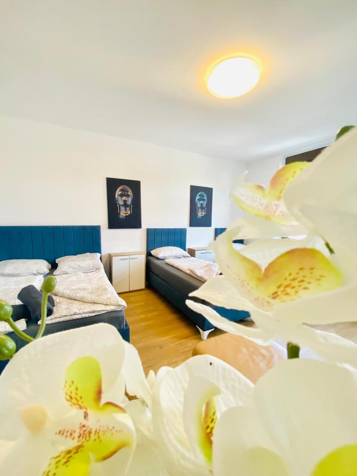Spacious 4br Up To 15 Guests 15 Min To Danube *