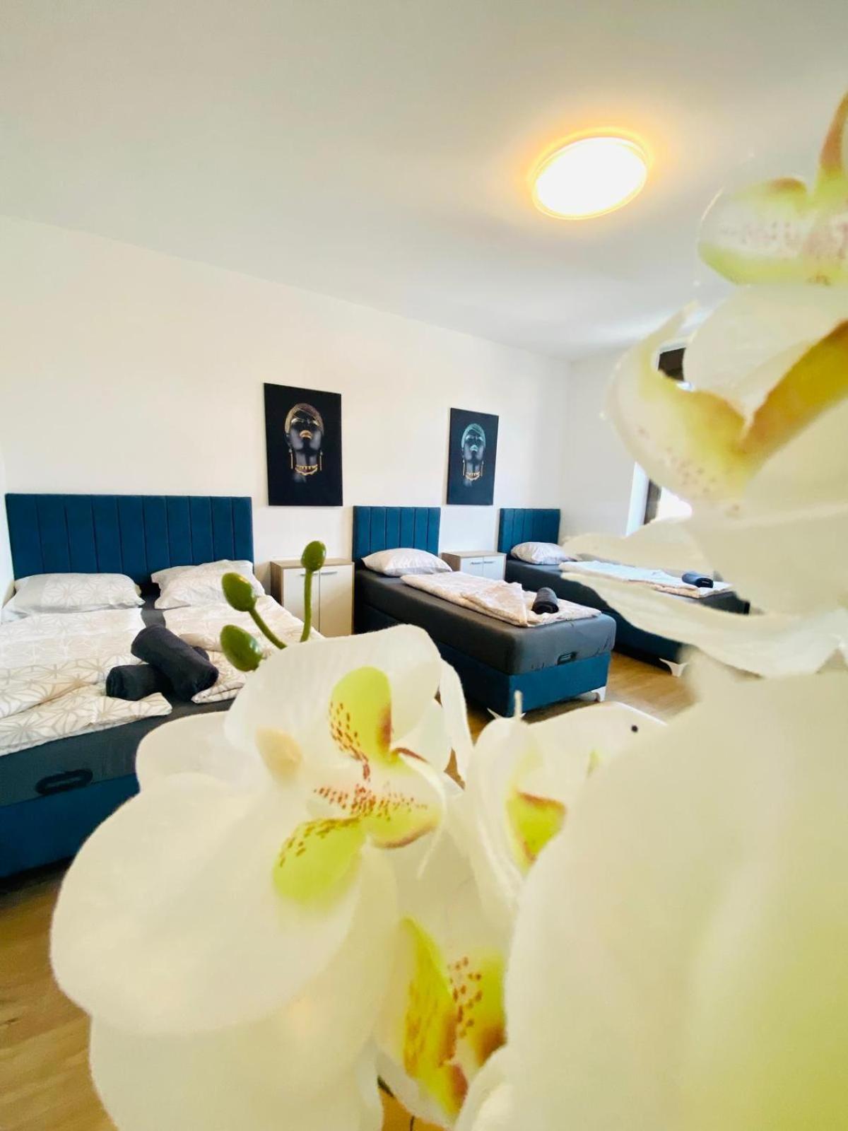 Spacious 4br Up To 15 Guests 15 Min To Danube