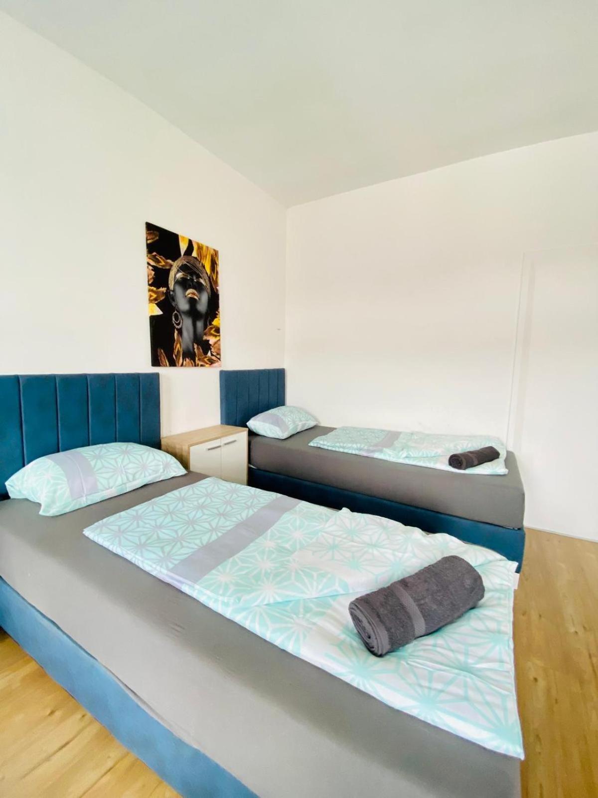 Spacious 4br Up To 15 Guests 15 Min To Danube Apartment