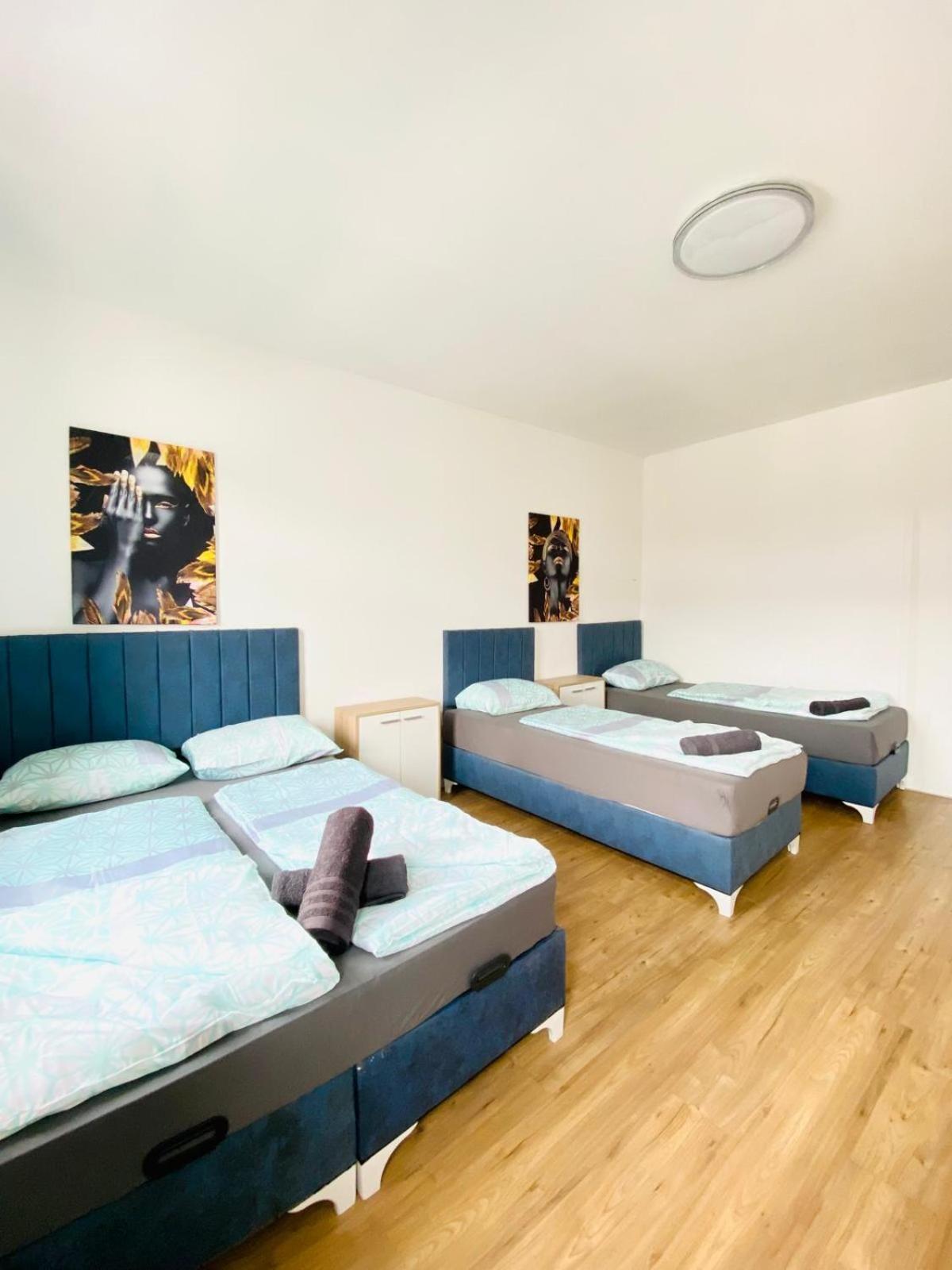 Spacious 4br Up To 15 Guests 15 Min To Danube Apartment
