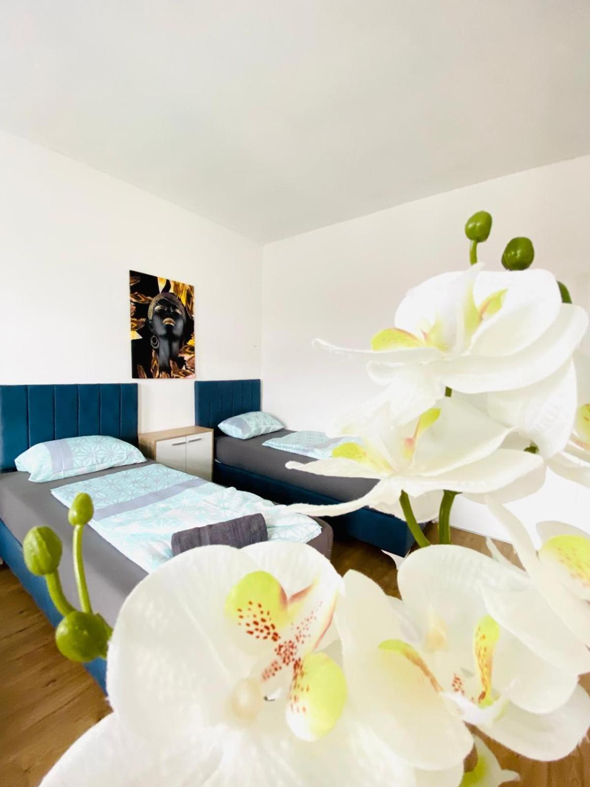 Apartment Spacious 4br Up To 15 Guests 15 Min To Danube Vienna