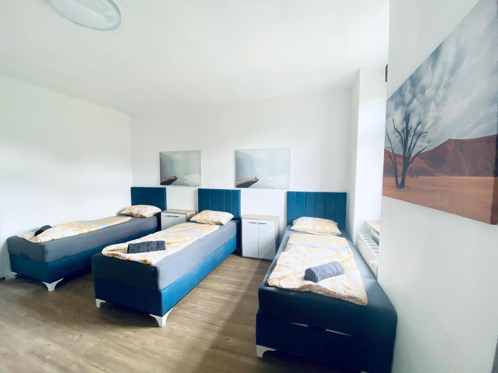 Spacious 4br Up To 15 Guests 15 Min To Danube *