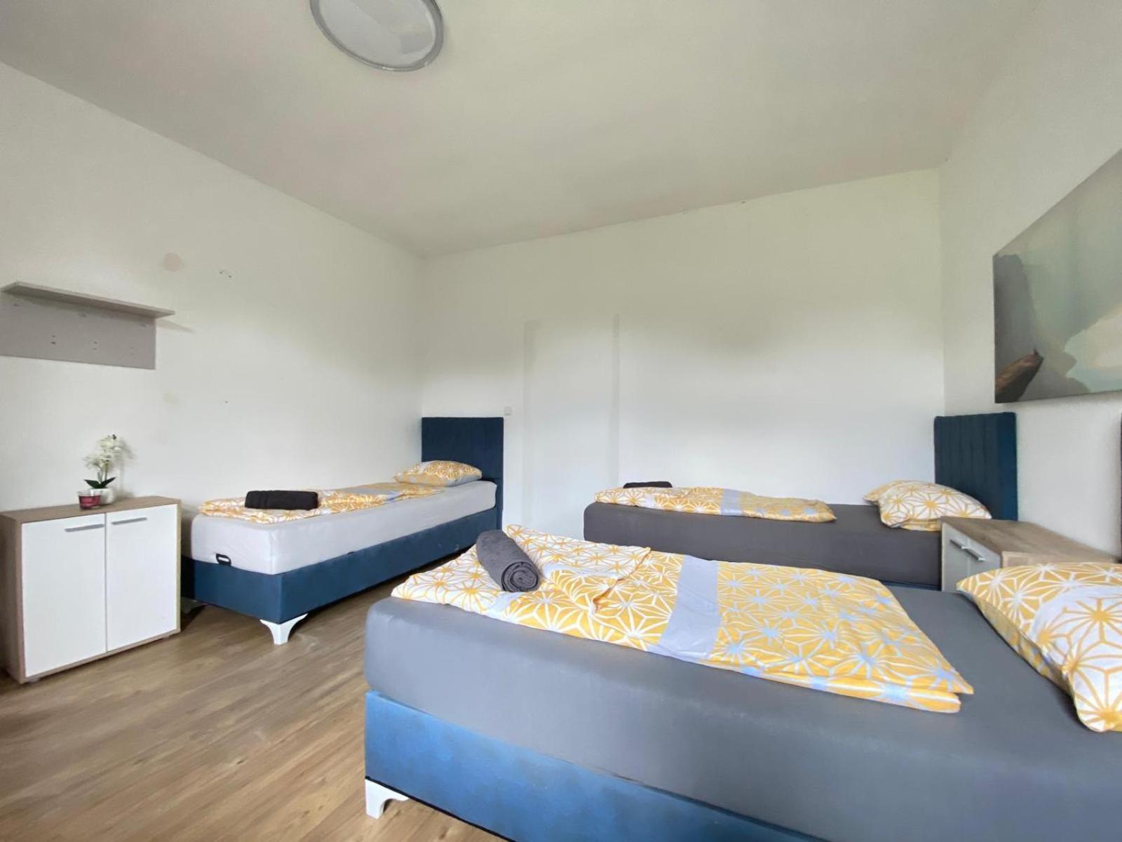 Spacious 4br Up To 15 Guests 15 Min To Danube Apartment Vienna