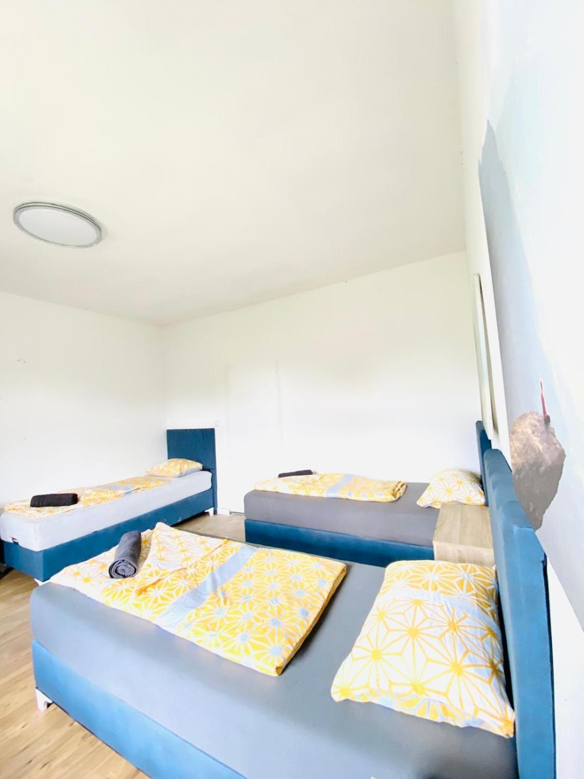 Spacious 4br Up To 15 Guests 15 Min To Danube Vienna