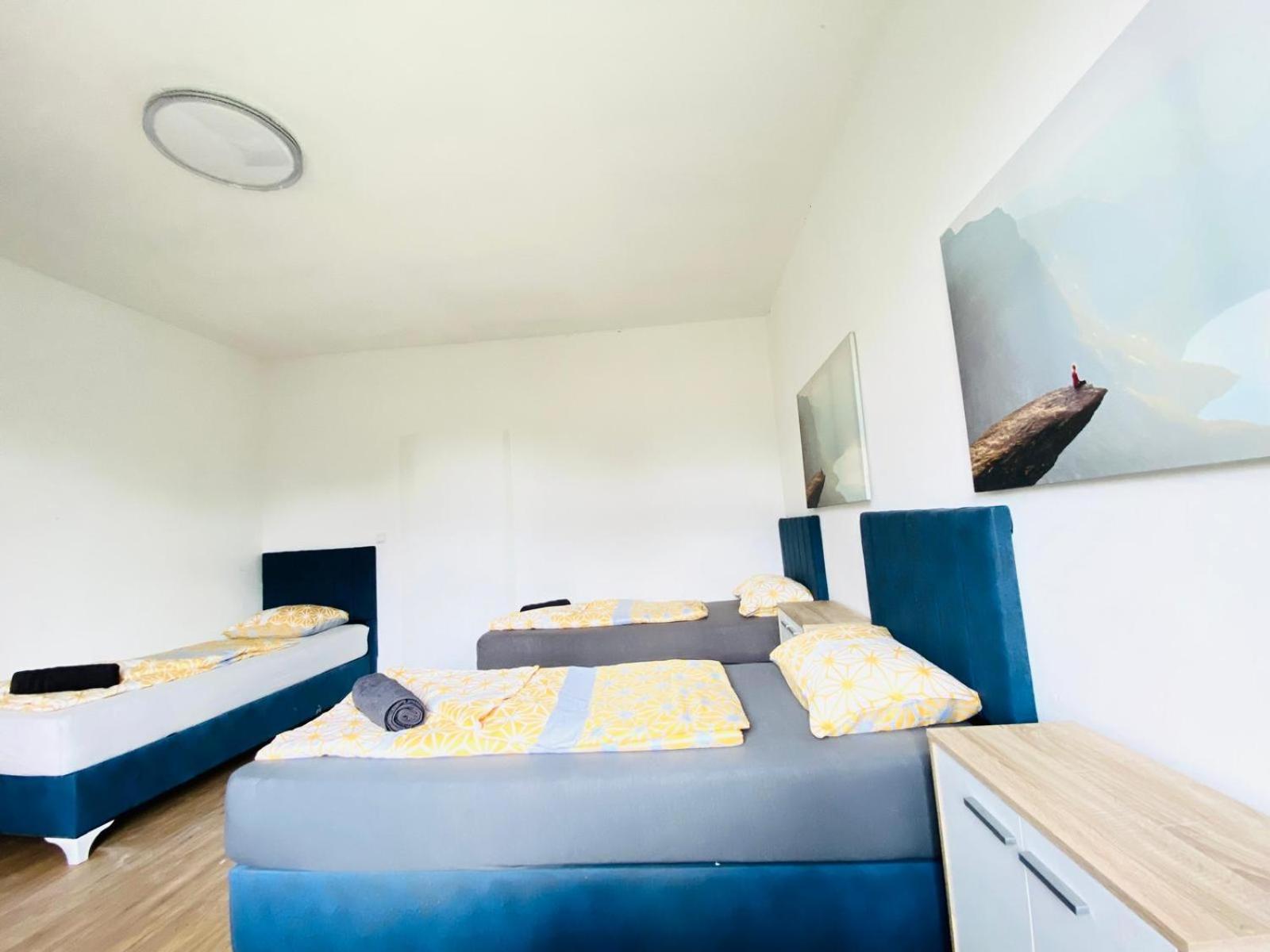 Spacious 4br Up To 15 Guests 15 Min To Danube Apartment
