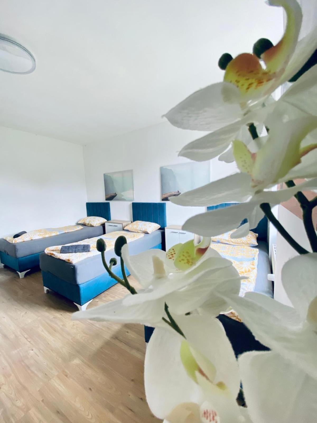 Apartment Spacious 4br Up To 15 Guests 15 Min To Danube *