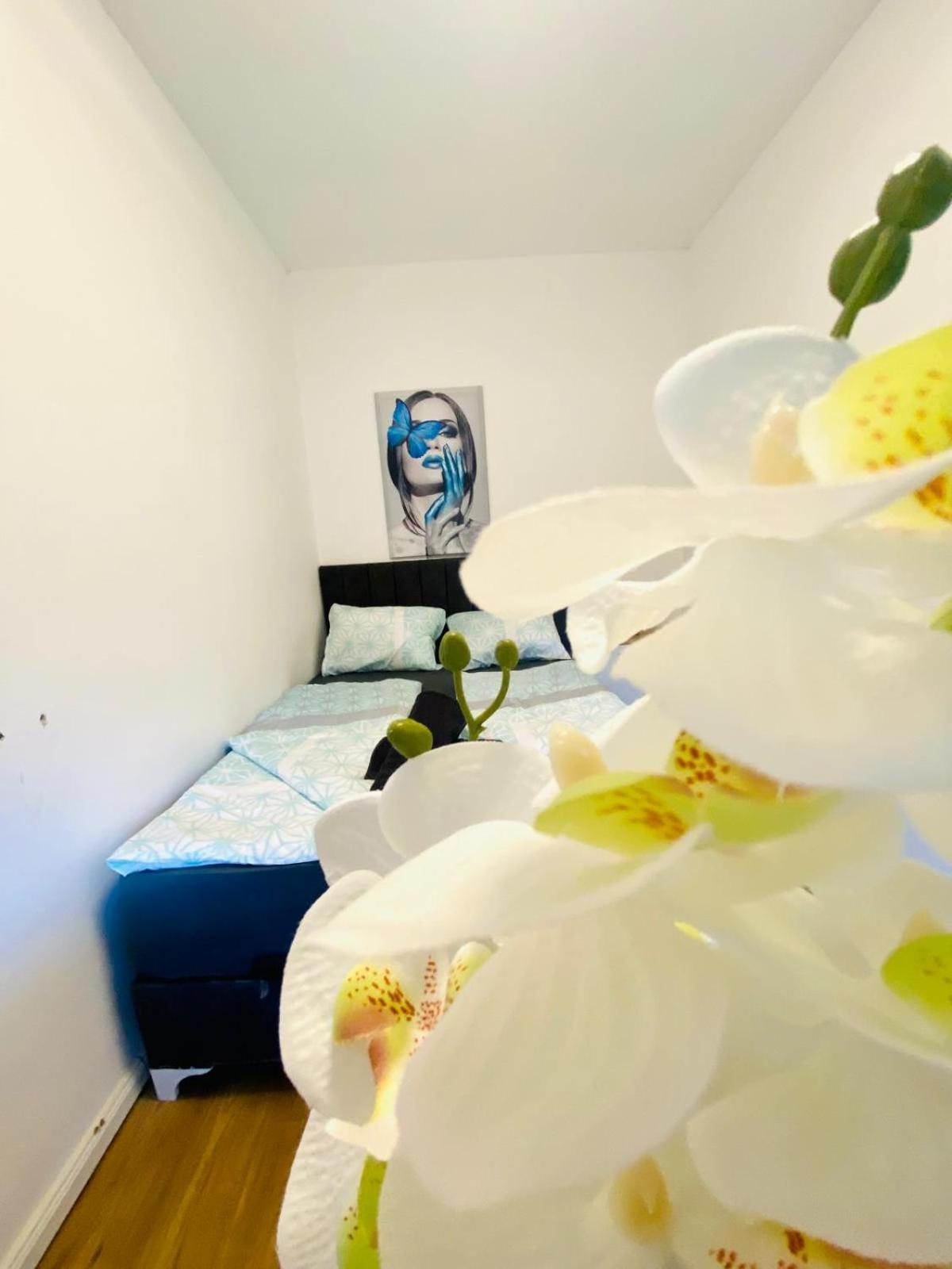 Spacious 4br Up To 15 Guests 15 Min To Danube Apartment Vienna