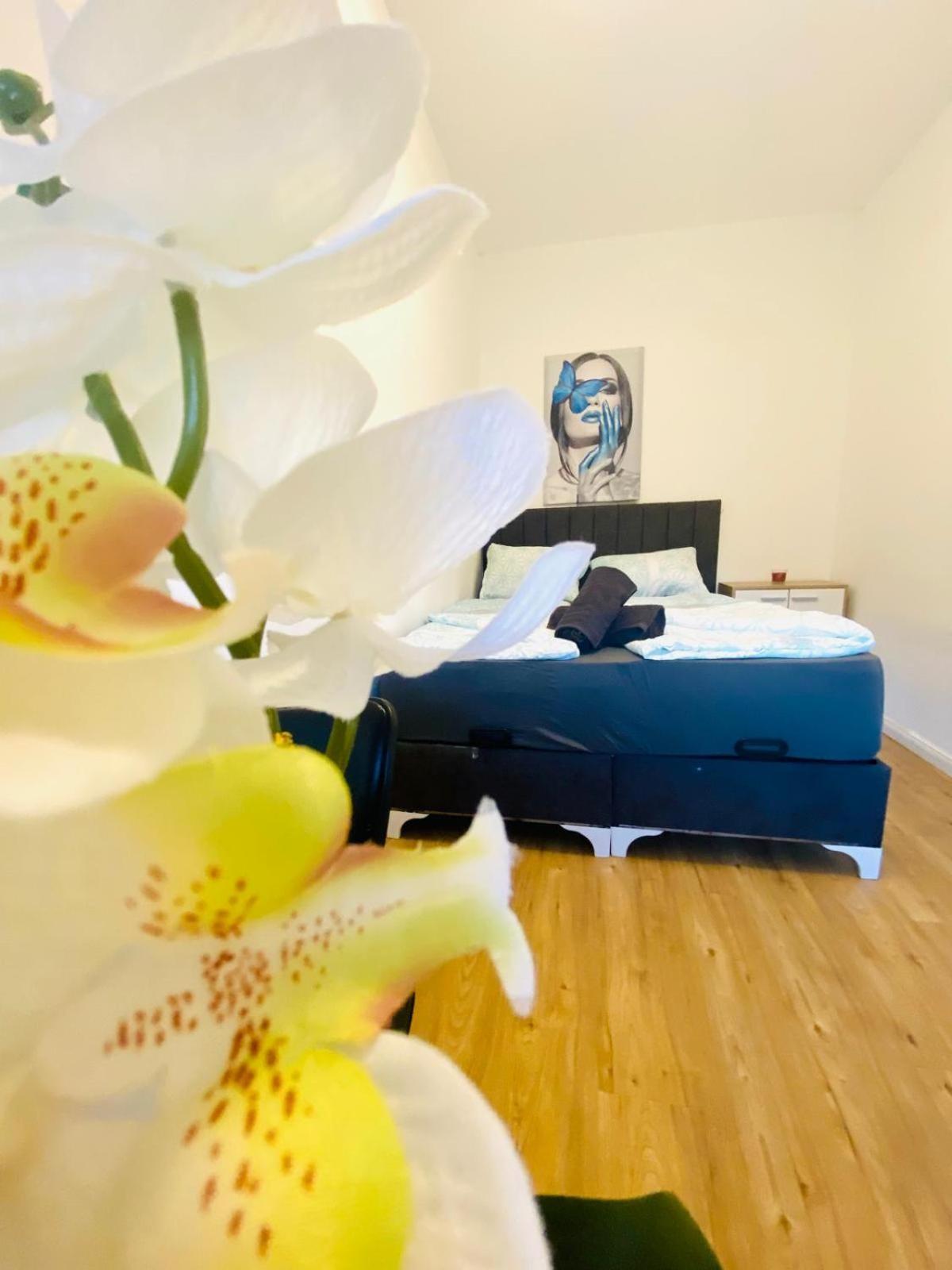 Apartment Spacious 4br Up To 15 Guests 15 Min To Danube