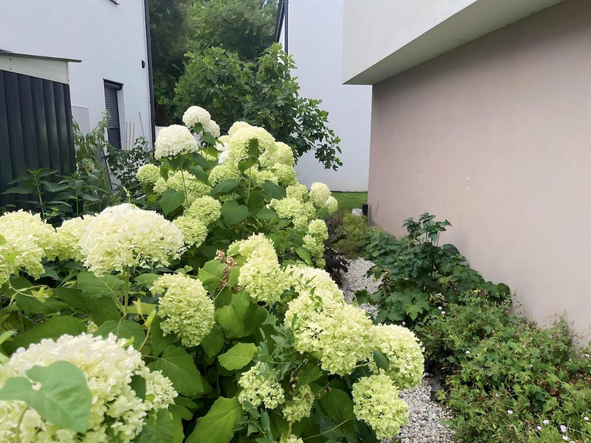 Apartment Mit Privatgarten & Salzwasserpool *
