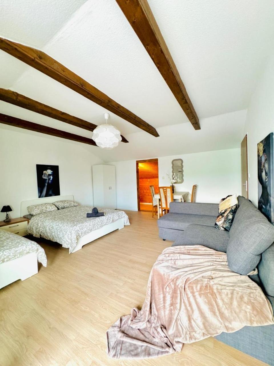 Cozy In A For Groups, 16-mins To Blumengaerten Apartment Vienna