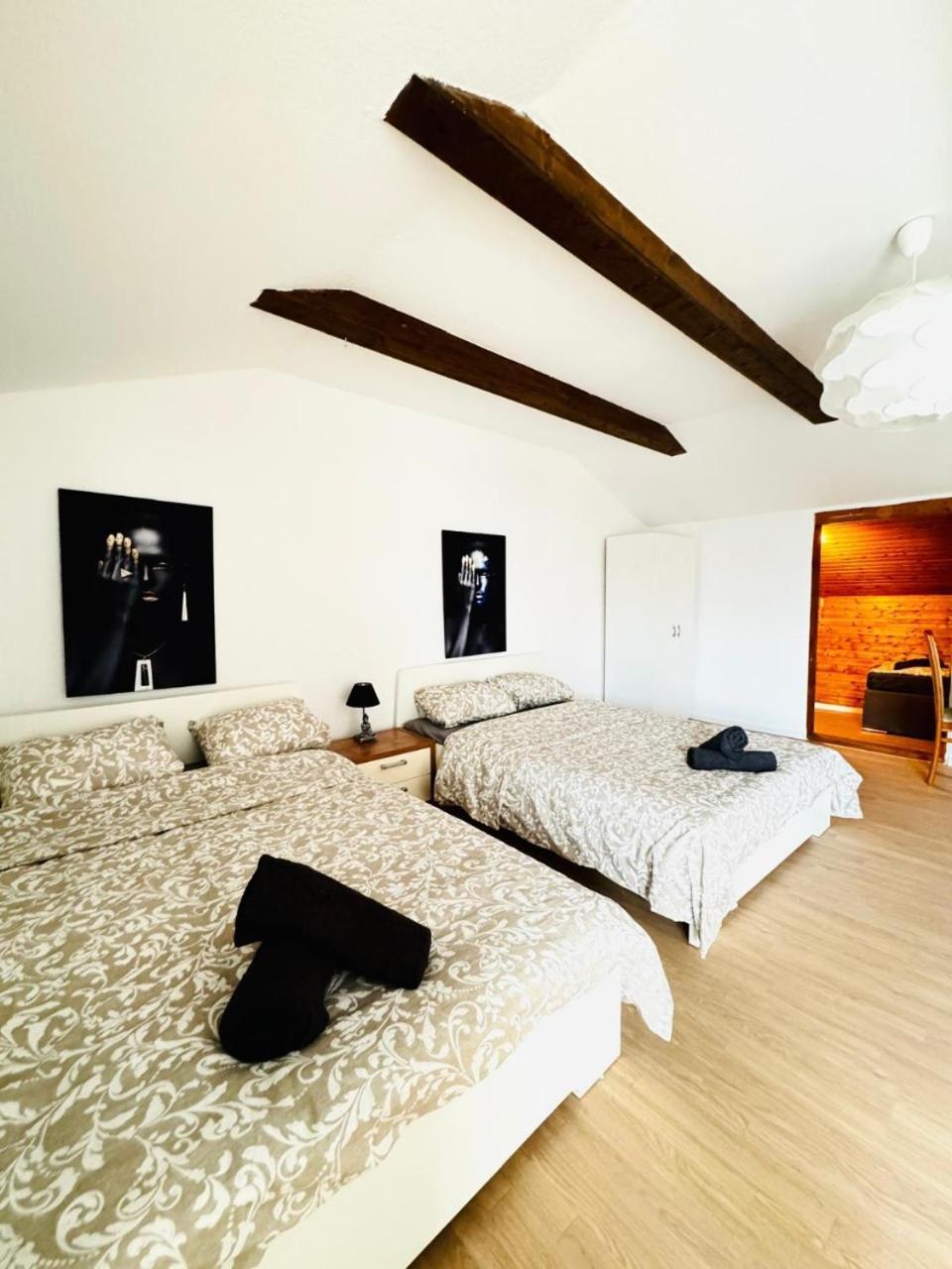 Apartment Cozy In A For Groups, 16-mins To Blumengaerten