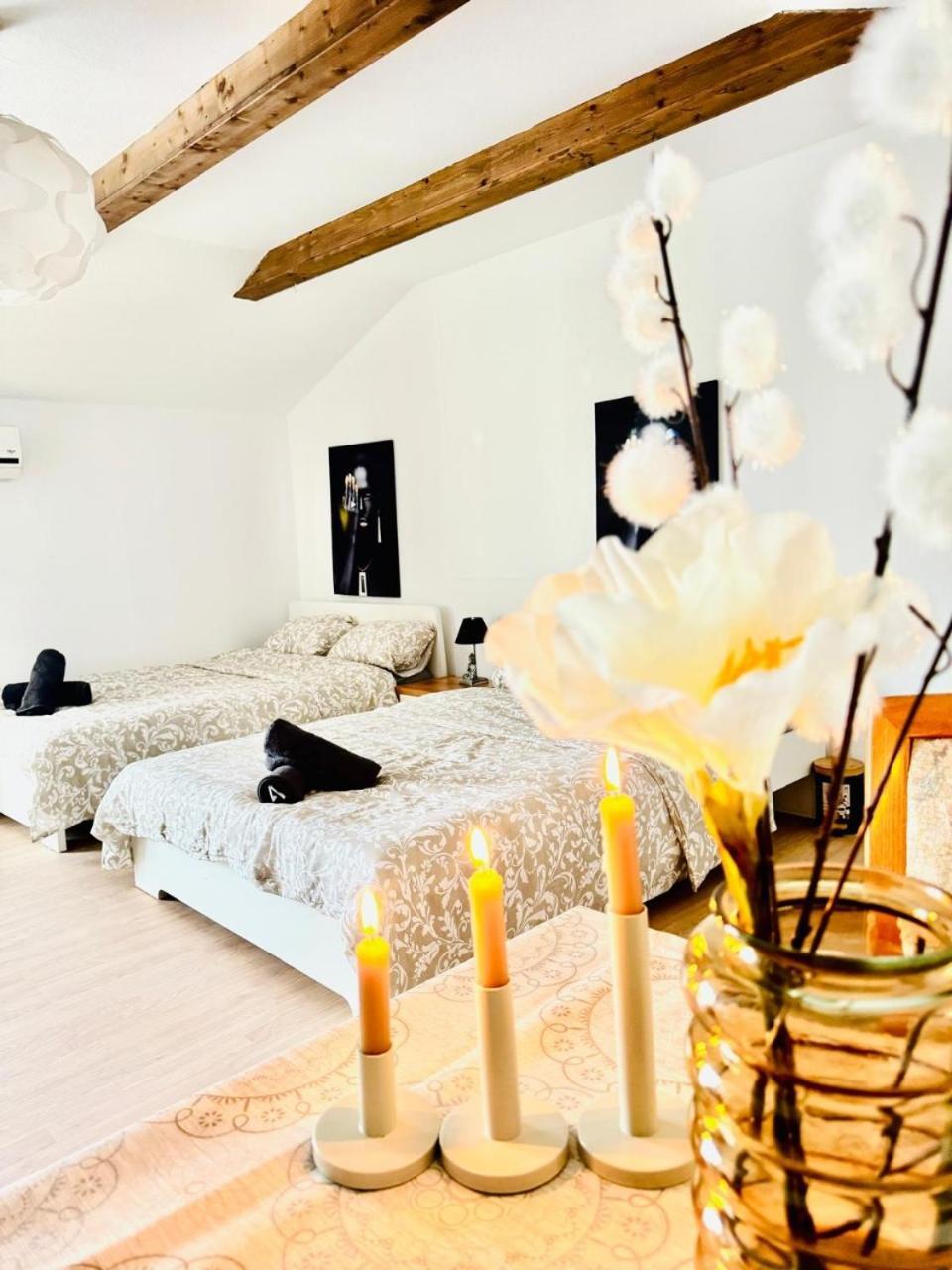 Cozy In A For Groups, 16-mins To Blumengaerten Apartment *