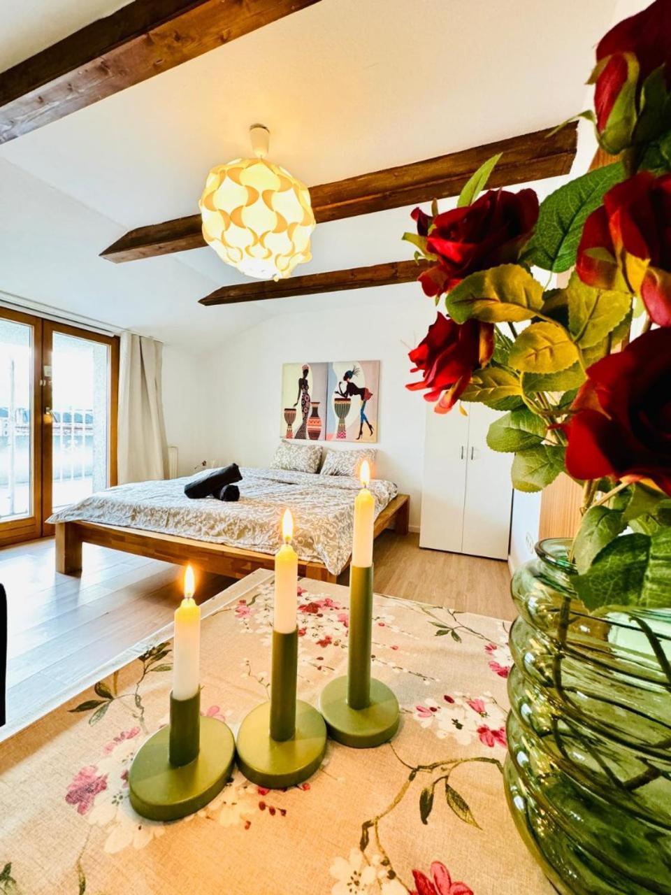 Apartment Cozy In A For Groups, 16-mins To Blumengaerten Vienna