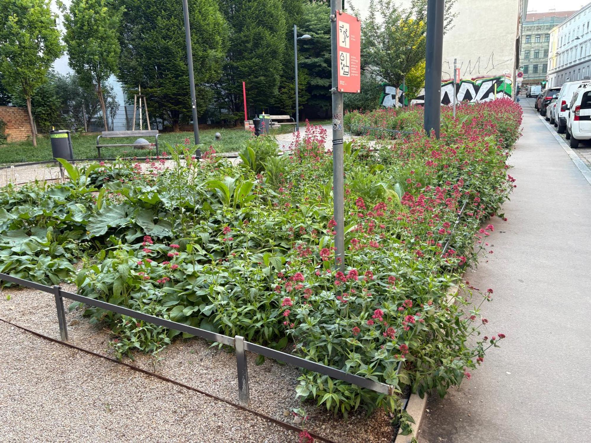 Apartment Modernes 60M2 Erdgeschoss Apartment Mit Gartenblick - Hundefreundlich Naehe Westbahnhof T5 *