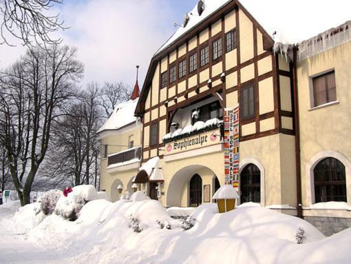 Hotel Hotel-restaurant-cafe Sophienalpe 3*