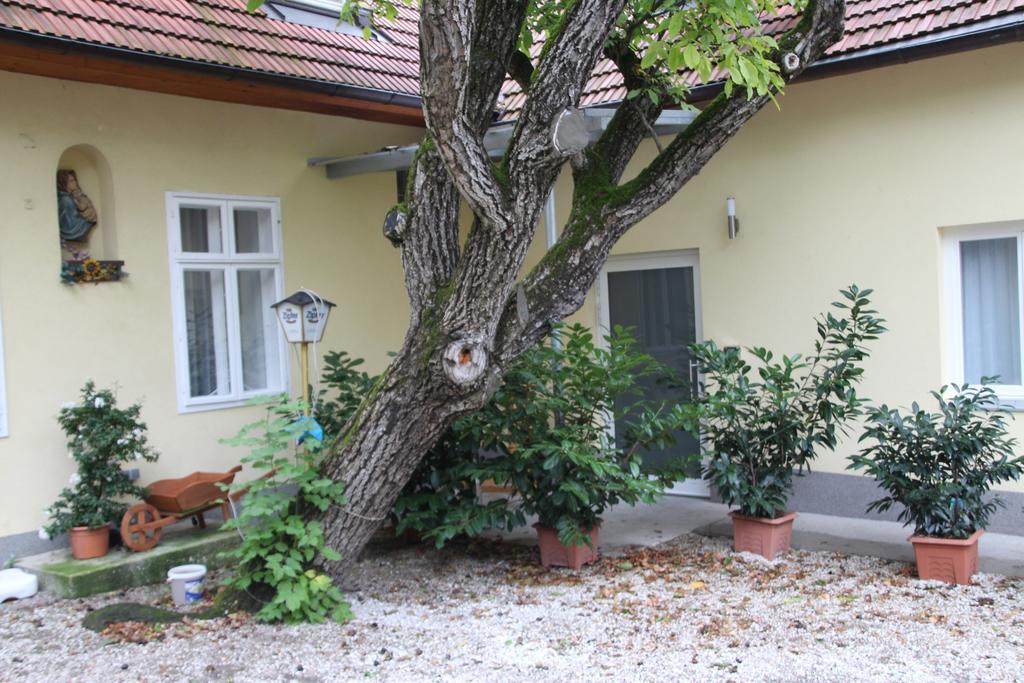 bahay-panuluyan Gasthaus Zum Brandtner 3*