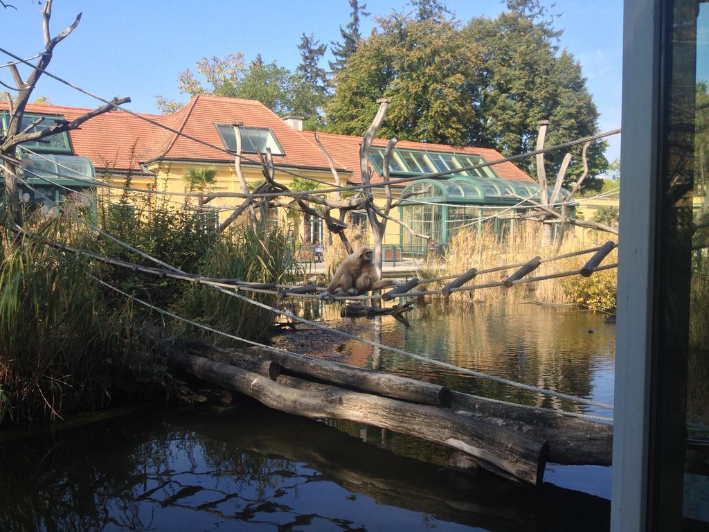 Apartment Big Vintage Style Flat Near Schonbrunn *