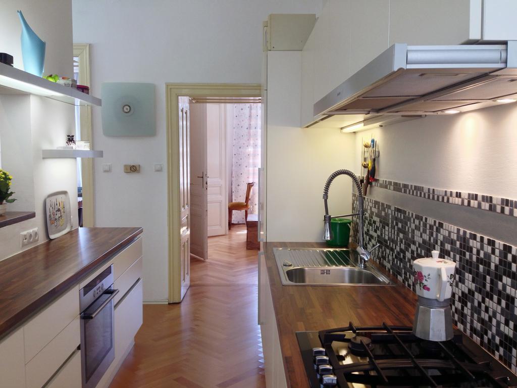 Big Vintage Style Flat Near Schonbrunn Apartment *