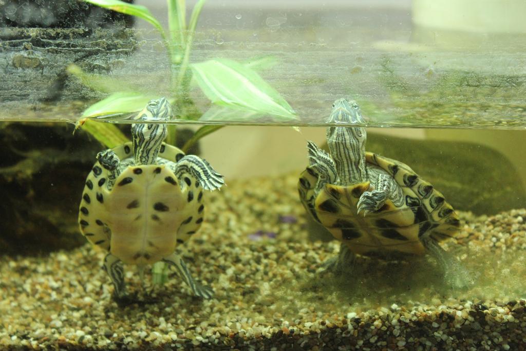 Porzellaneum Vienna