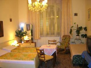 Mozart - Newly Renovated Guest house