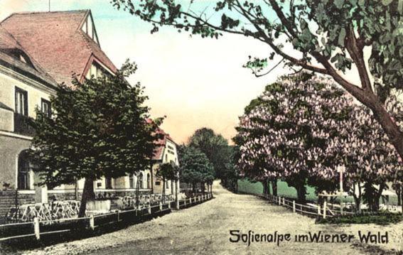 Hotel Hotel-restaurant-cafe Sophienalpe Vienna