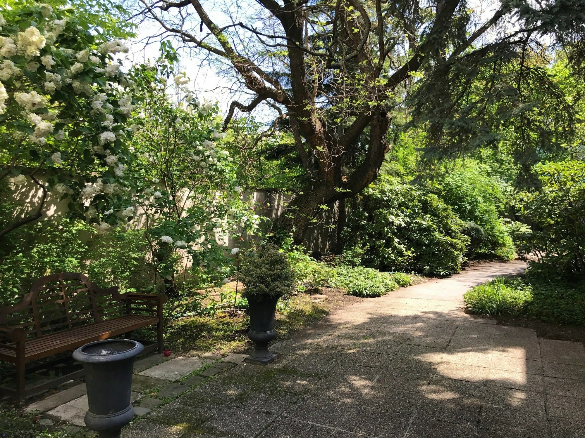 Counts 65 - Slightly Different Apartments * Viena