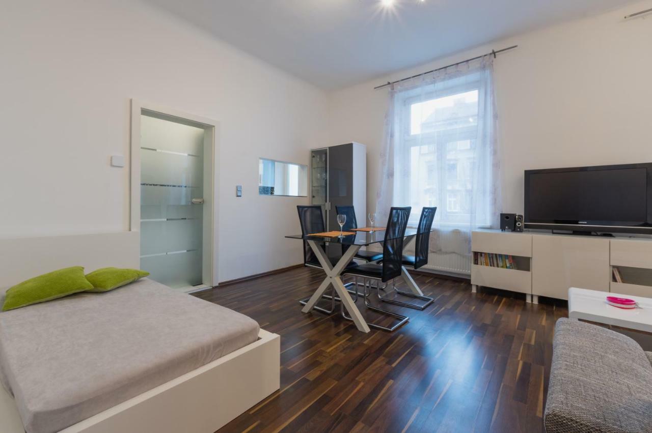 Spacious In Center With Terrace * Vienna
