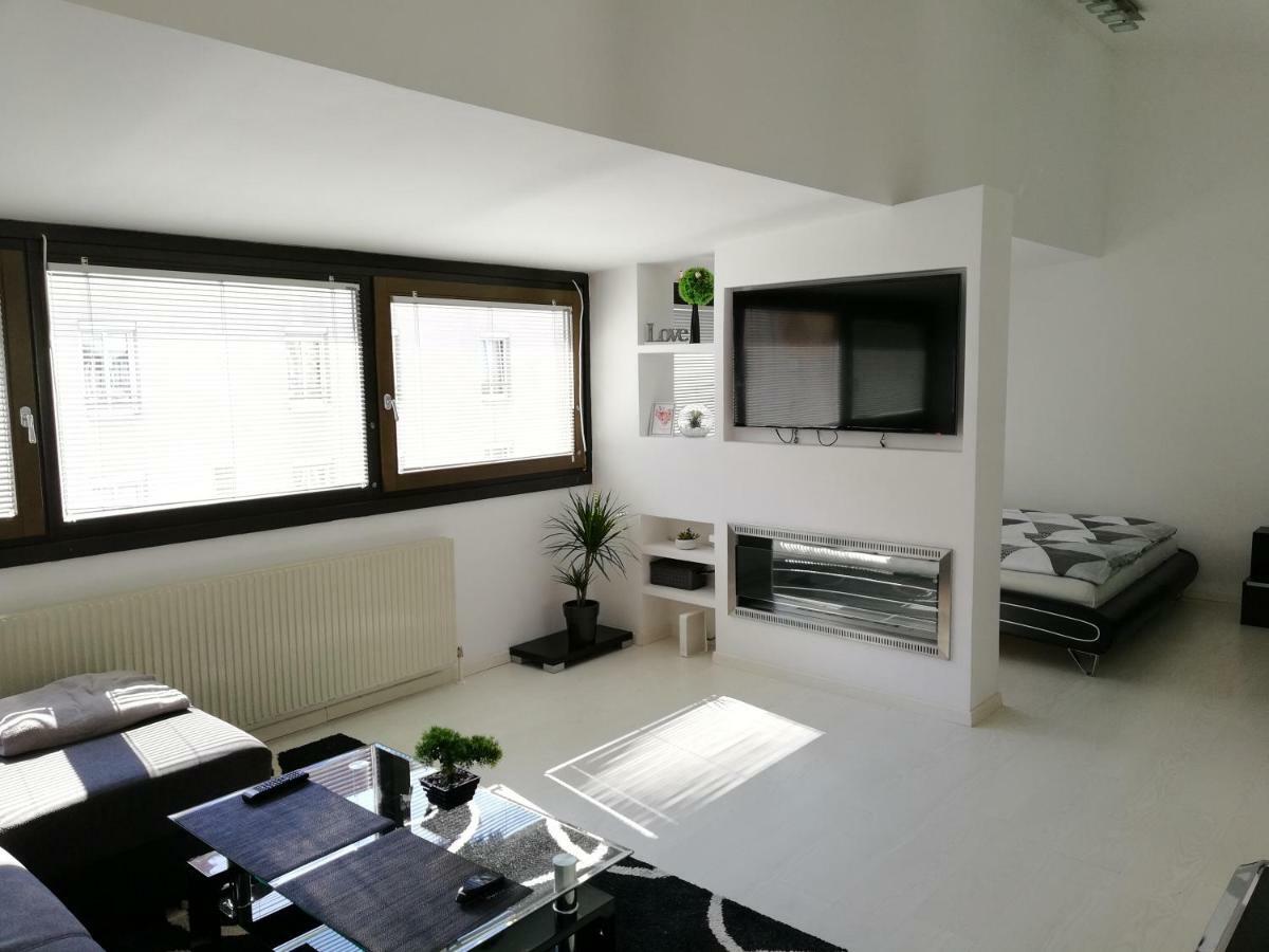 Andrej Andrej Apartment Vienna