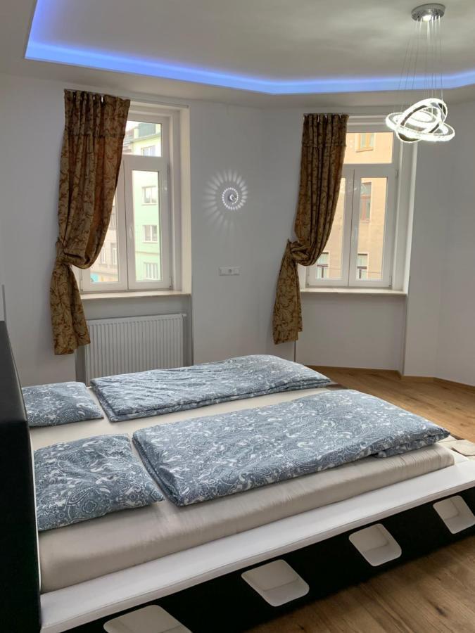 Colony 2* Vienna
