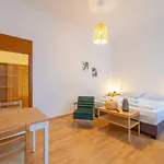 Comfort Studio In Zentrumsnaehe I Levestate