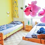 Economic 2Sb Apartment In Lively Area