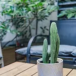 Garden Apartment Near Haydnpark