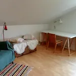 Cosy Room In House With Garden