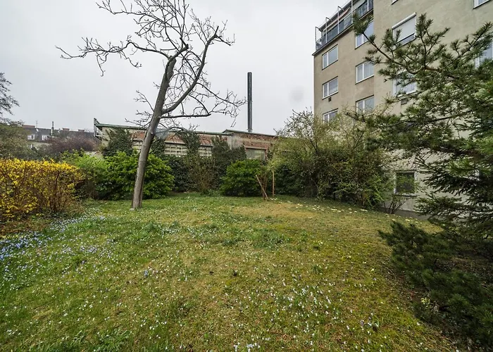 Homely Apartment - 10 Minutes To Stephansplatz