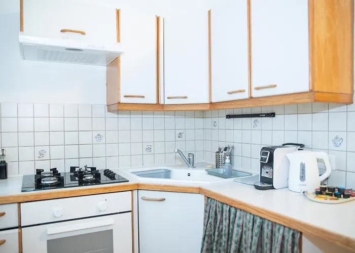 Cozy City Apartments In Center K28