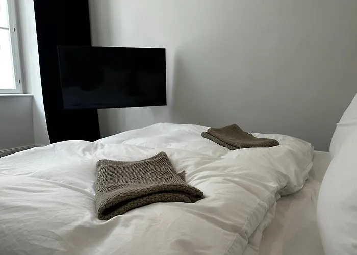 Luxury City Apartment Downtown Vienna