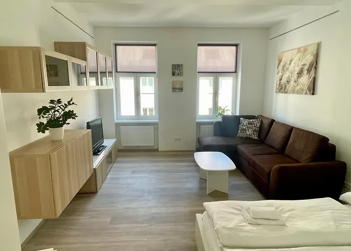 Kleine Studiowohnung In Der Braunhirschengasse
