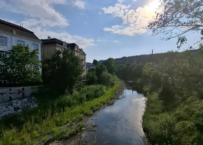 Adelin Vienna