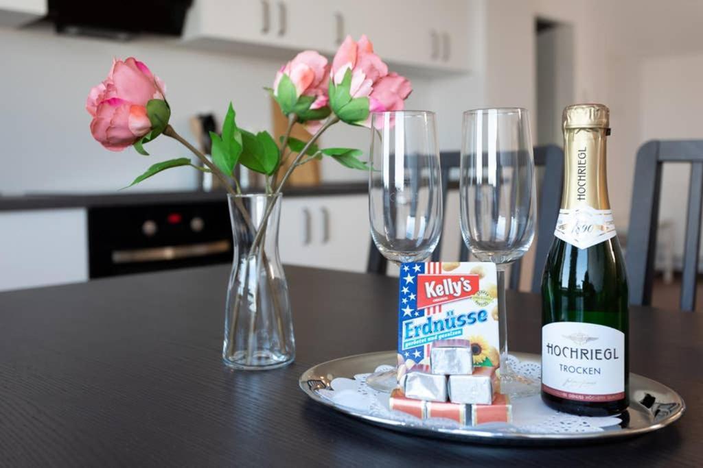 Apartment Penthouse Bei Schönbrunn Mit Dachterasse! N44