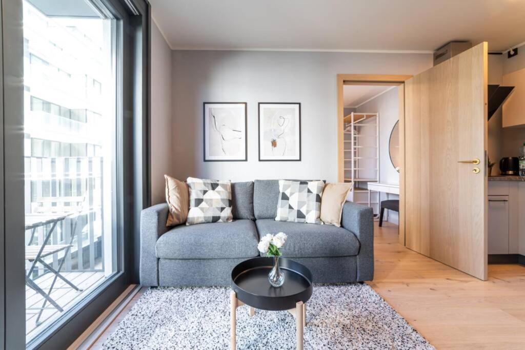 Beautiful In Vienna's Heart 1d Apartment Vienna