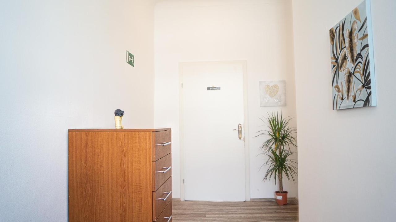 Spacious Shared Schoenbrunn * Wien